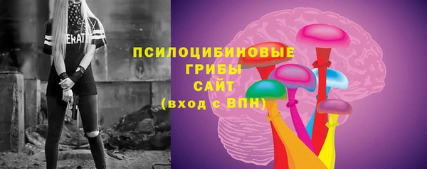 2c-b Елизово