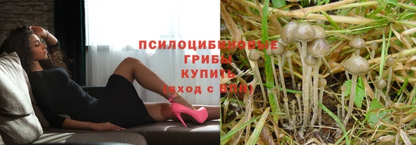 ешки Елабуга