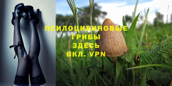 ешки Елабуга