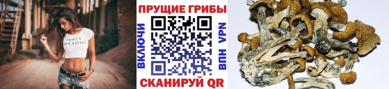 Галлюциногенные грибы ЛСД  где найти   Дербент 